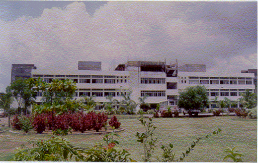 MGM’S Florence Nightingale Institute Of Nursing Education, Mumbai Image