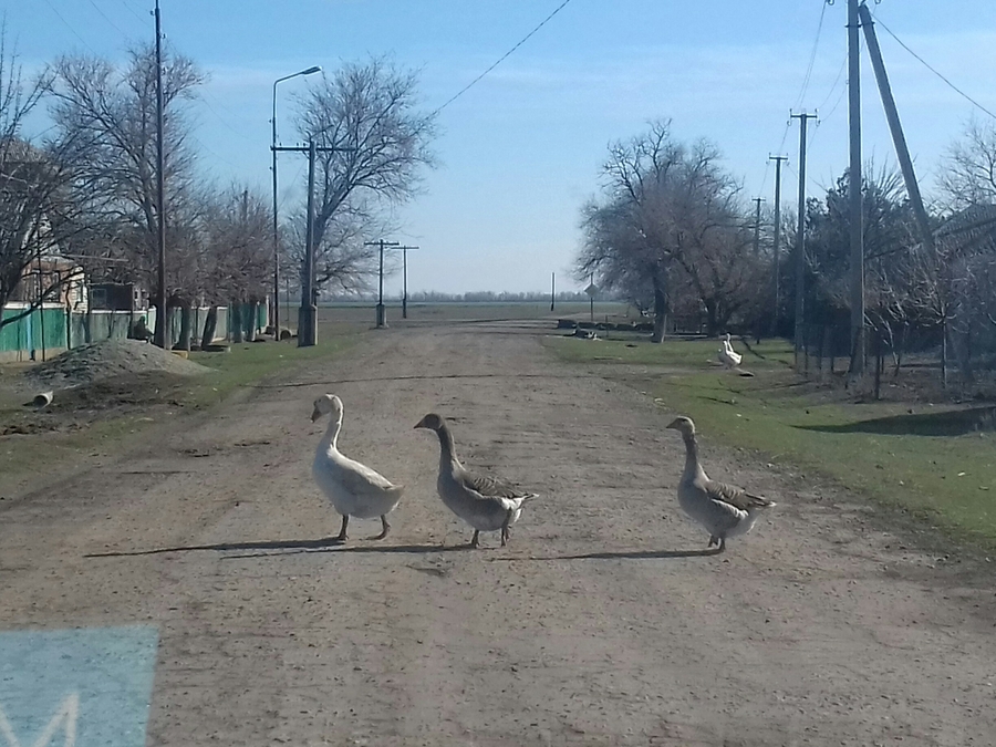 село Манычское Ставропольского края село Манычское Ставропольского края