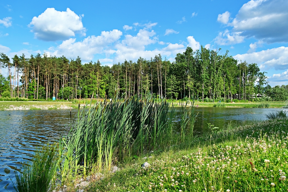 Canon RF 24mm Pond