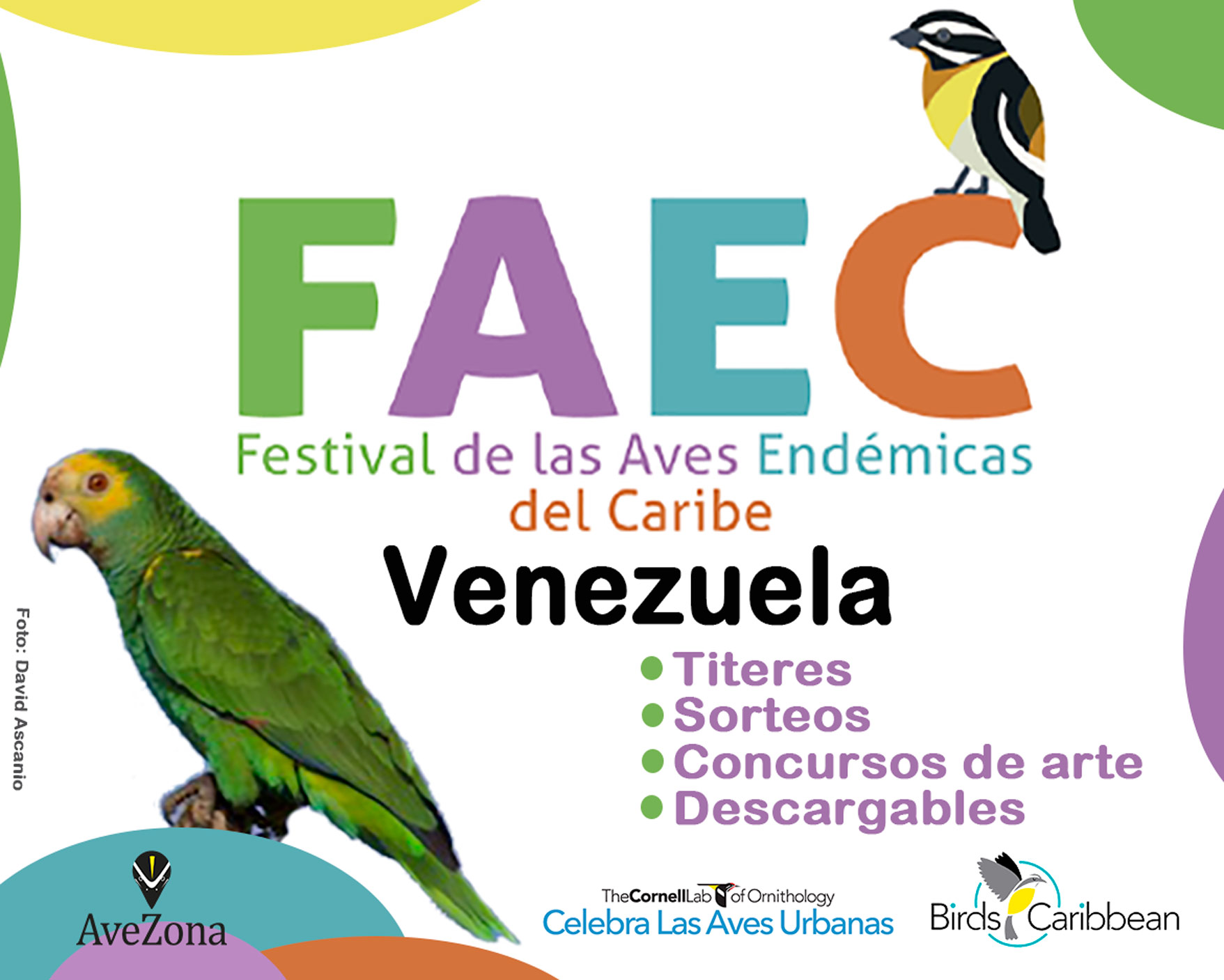 Festival de las Aves Endémicas del Caribe 2021