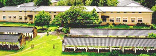 Government Polytechnic College, Waidhan Image