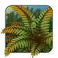 fern2.png