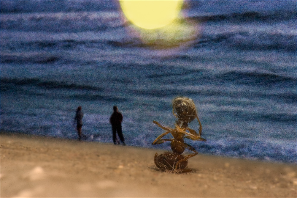 sunburnedoldfartdeux.jpg