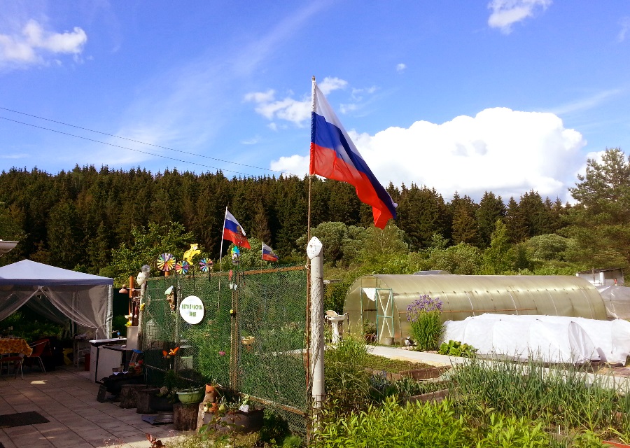 гордо реет
