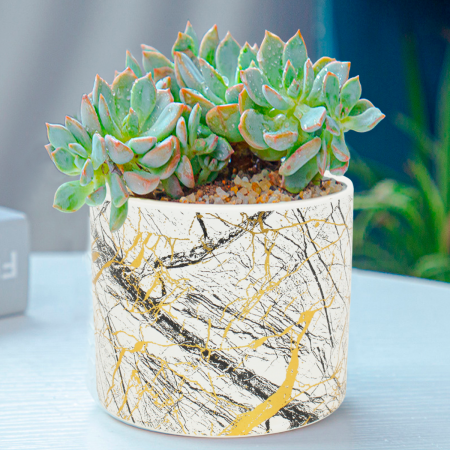 Maceta decorativa 11.5xØ12.5cm, cerámica