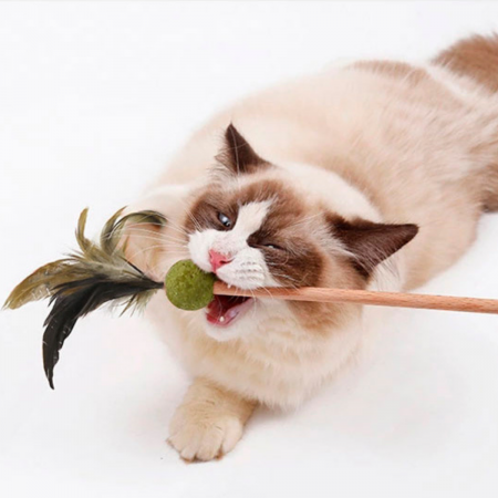 Varita con plumas para gato  54cm, madera y plumas