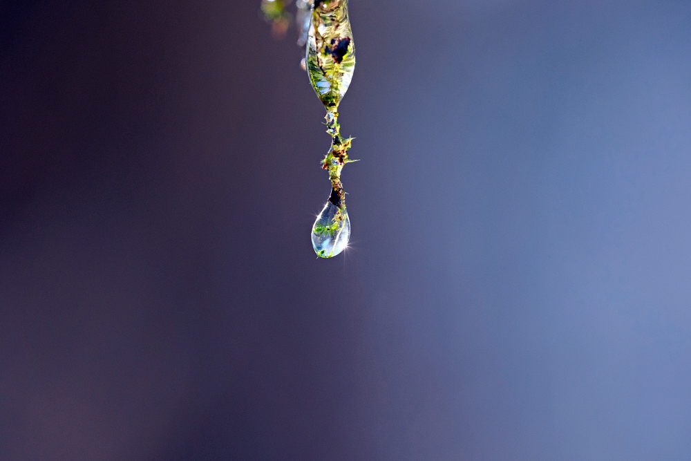 Fujinon XF 80mm F2.8 R LM OIS WR Droplet