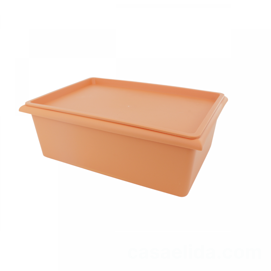 Caja organizadora anaranjado, 14.5x40x28cm