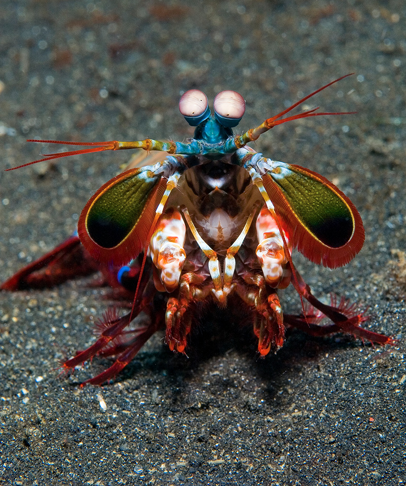 2020. Shutterstok. Мои фотографии. 2020. Shutterstok. Мои фотографии.