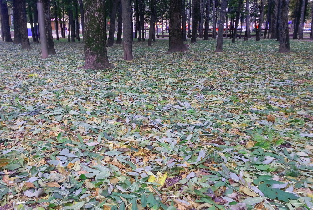 Лопатинский сад