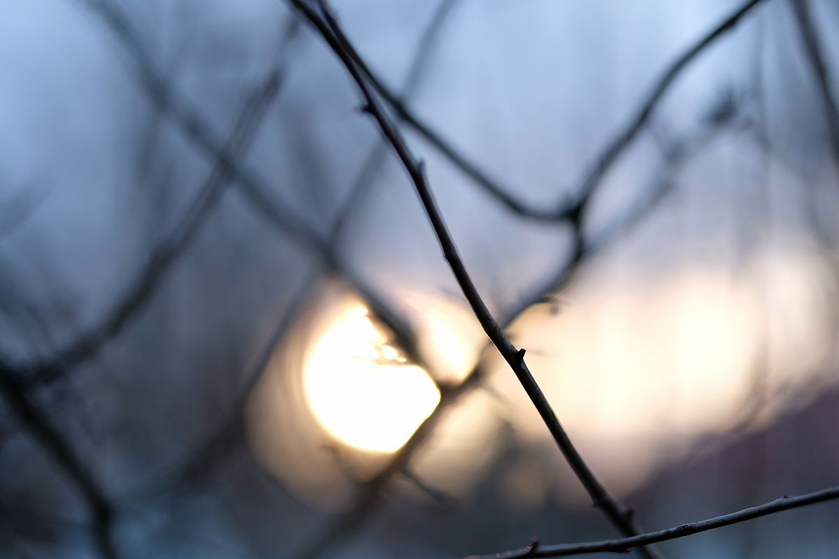 Sigma 56mm F1.4 DC DN Sunset Full