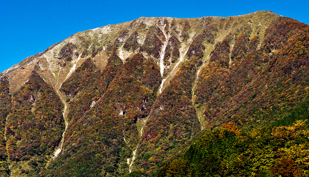 紅葉(山)