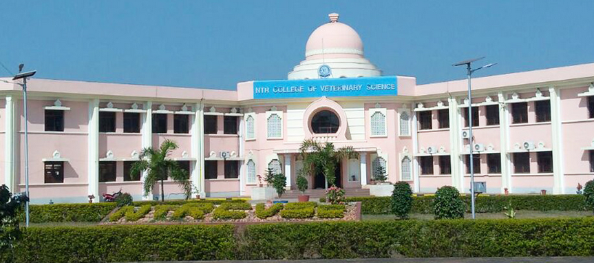 NTR College of Veterinary Science, Gannavaram Image