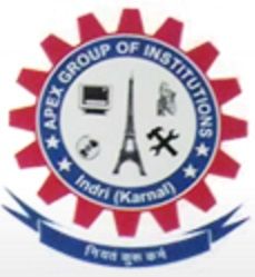 Techno Apex Polytechnic, Karnal