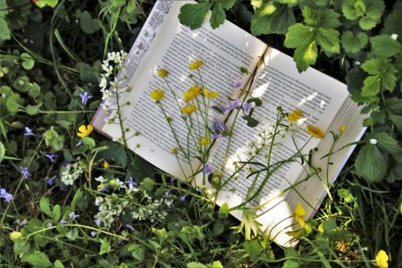 Book with daisies in garden