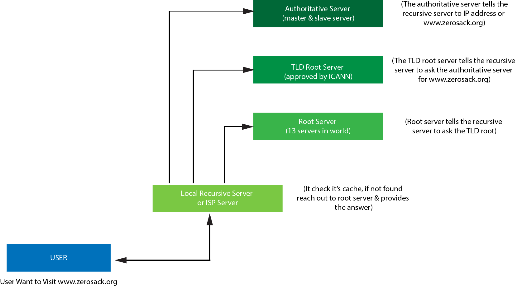 What Is A Domain Name Server (DNS) And Introduction to How Does It Work?