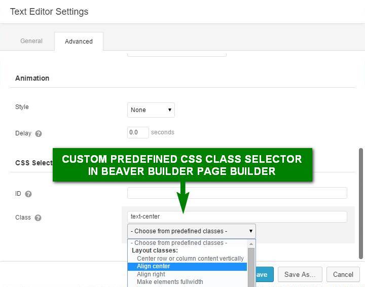 Selecting custom predefined CSS class easily in Beaver Builder page builder