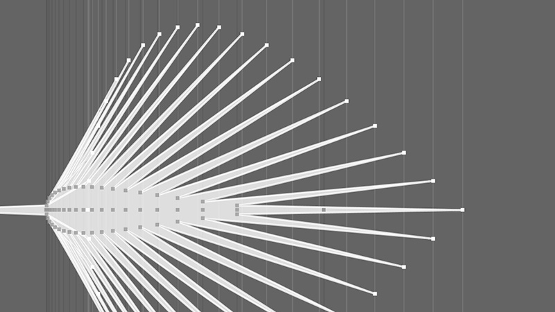 Structuration des folioles d’une feuille Structure folioles
