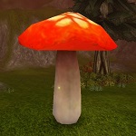 Červená jedovatá houba