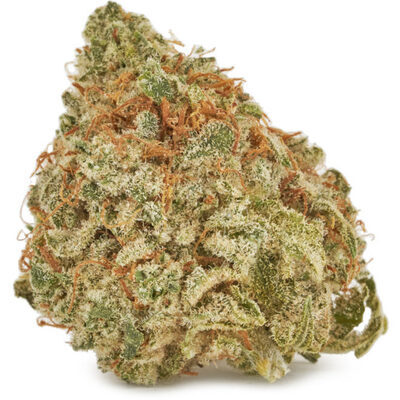 Tropicanna Gold