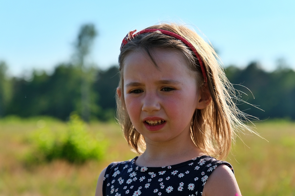 Tamron 17 70mm Ada