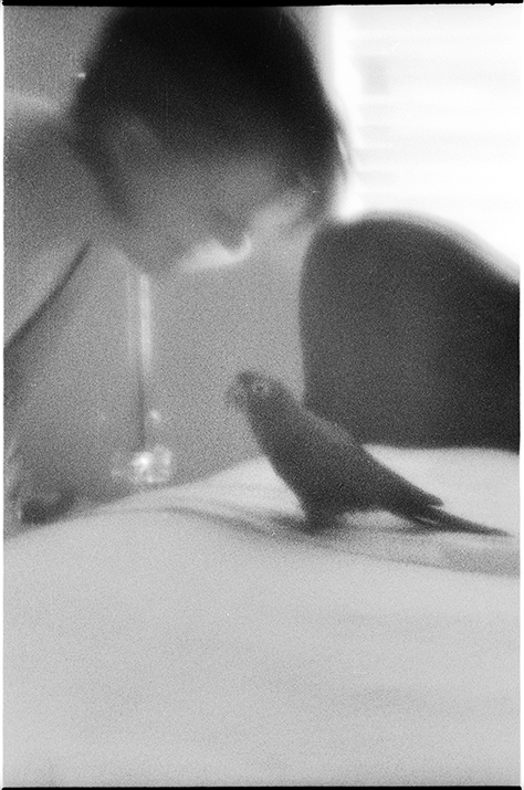 jenandbird.jpg