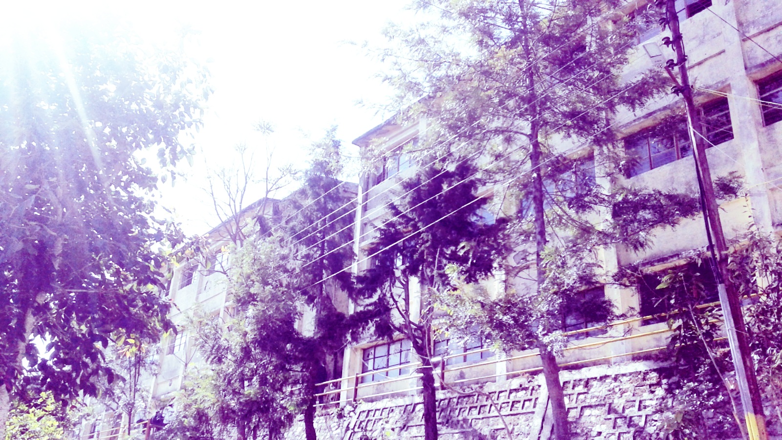 S.S.S.S.S.P.U. Goverment Polytechnic Sult, Almora Image