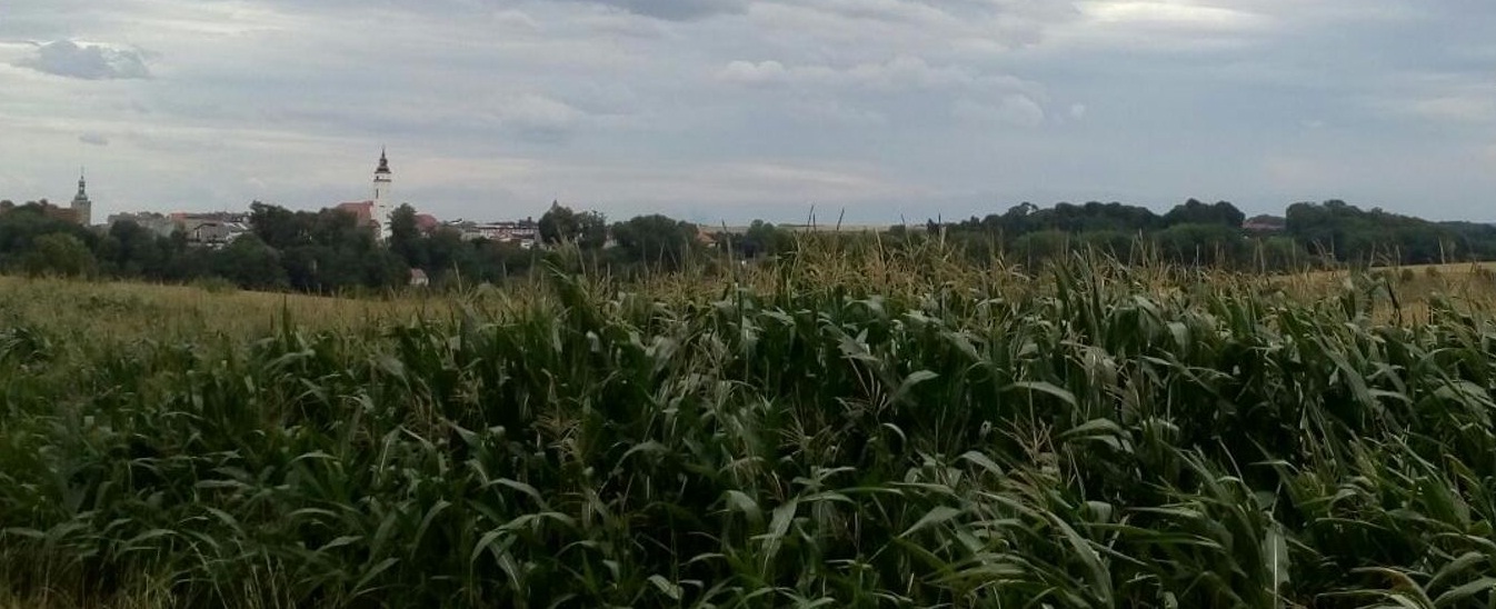 Bia%C5%82a%20od%20cegielni.jpg