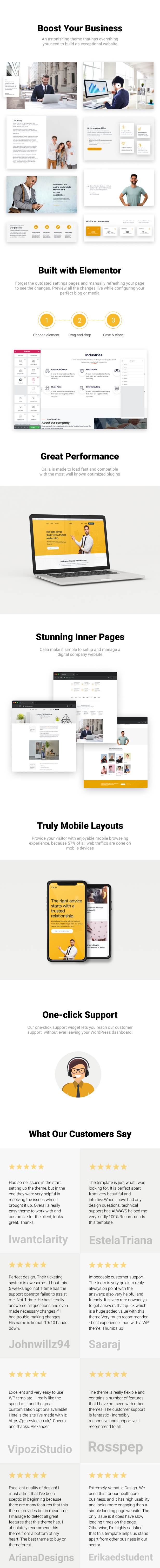 Calia - Business and Management WordPress Theme - 1