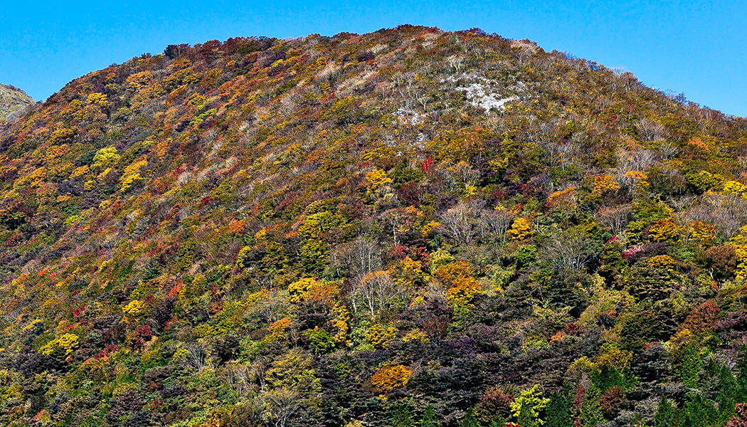 紅葉(山)