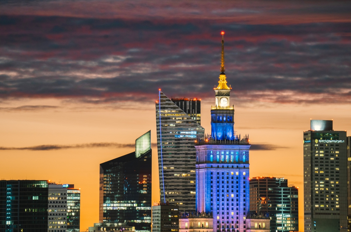 Sony A9 z Sony FE 200-600mm F5.6-6.3 G OSS - Paweł Ossoliński