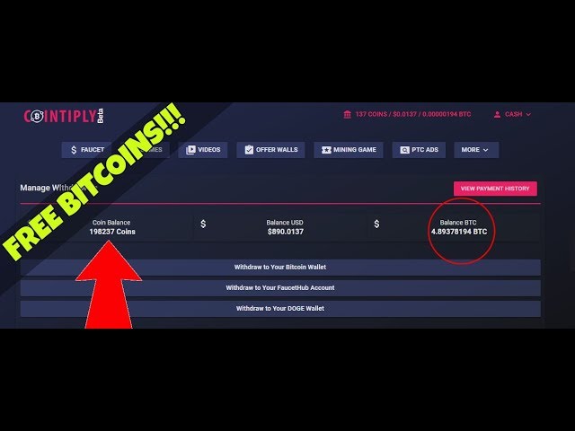 Best Web Wallet
