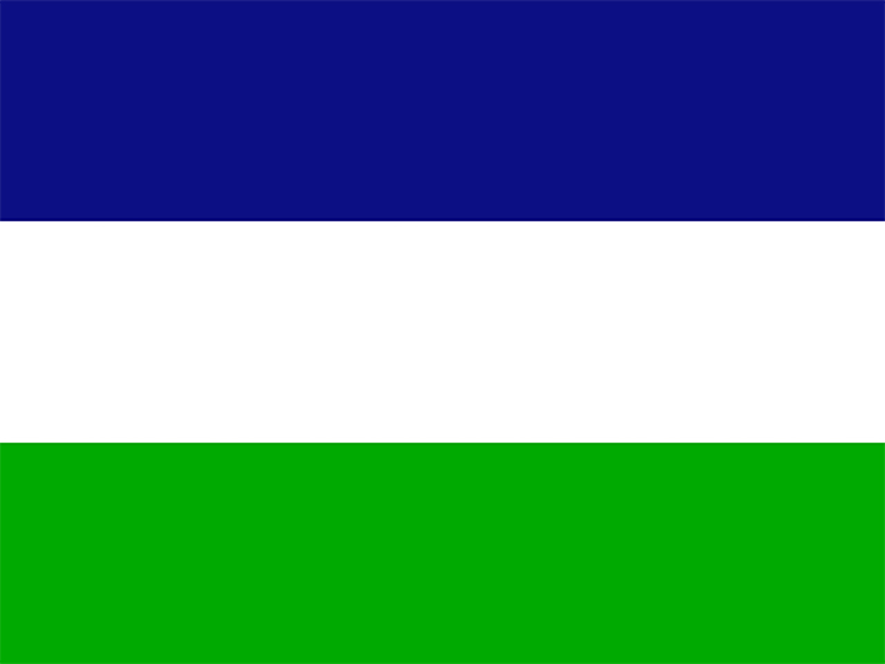 Bandera Patagonia