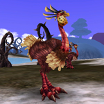 Pštros s pernatým obočím