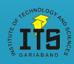Institute Of Technology and Science, Raipur