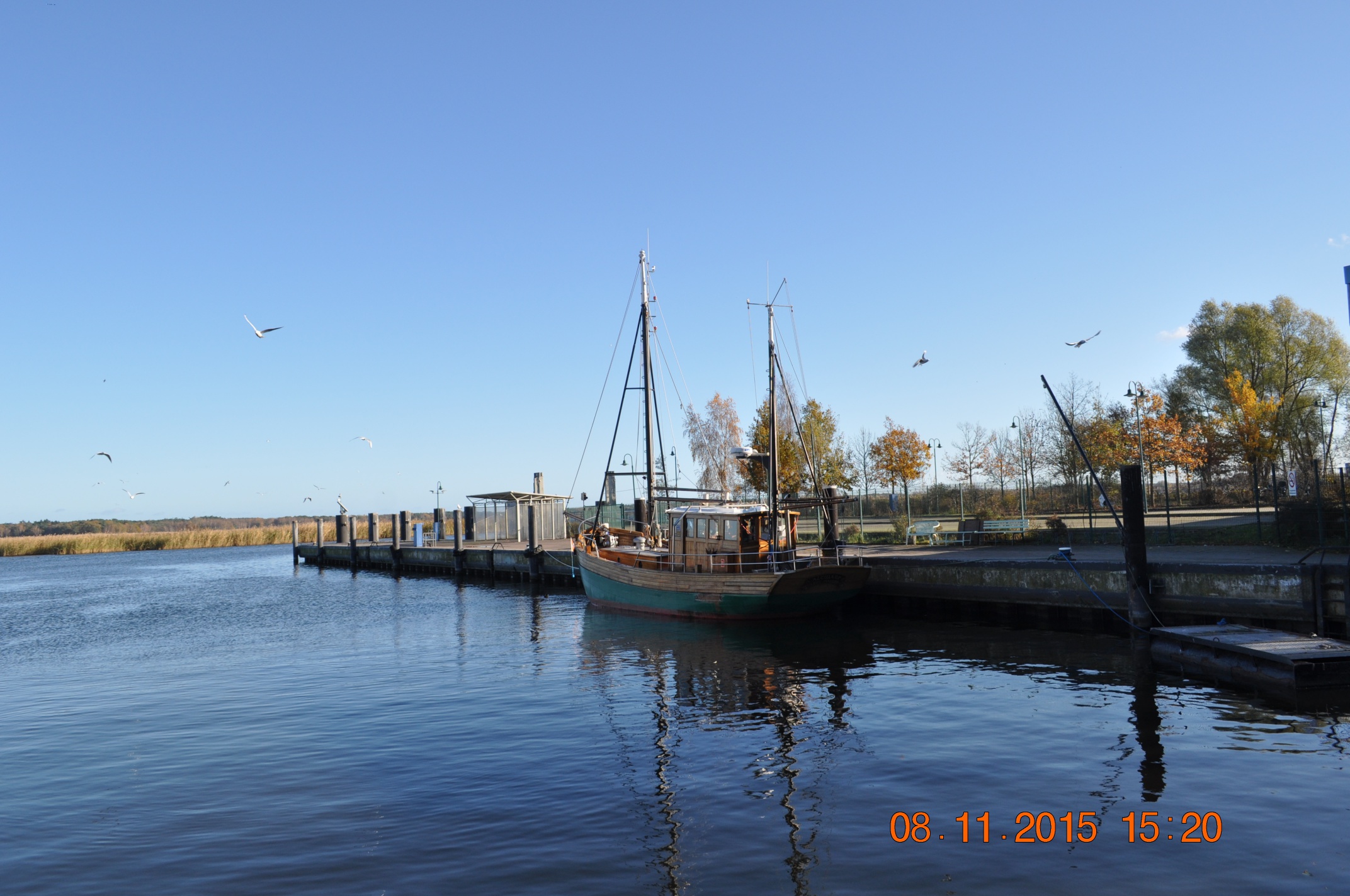 resize_2015-11-08%2015.20.44.jpg