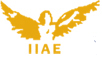 Indian Institute of Aircraft Engineering