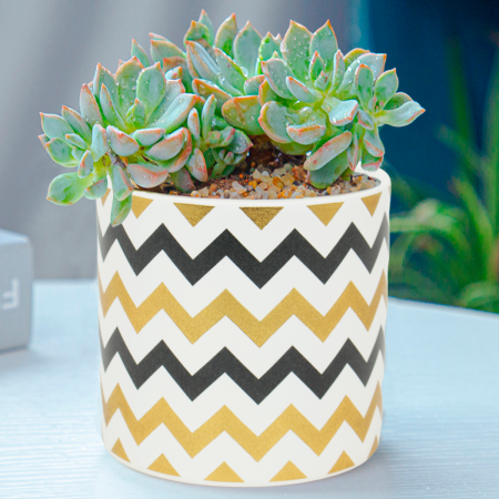 Maceta decorativa 11.5xØ12.5cm, cerámica