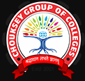 School Of Pharmacy,Chouksey Engineering College