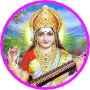 Saraswati College of Teacher Training, Dausa