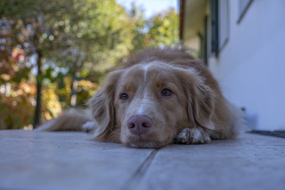 TTArtisan 25mm F2