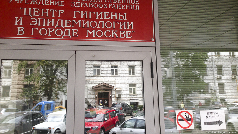 куда сдать клеща на анализ в москве бесплатно