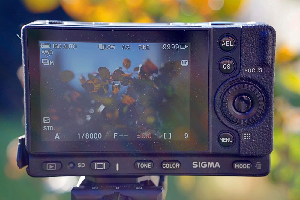 Sigma Fp TTArtisan 50mm F1.4 ASPH LCD