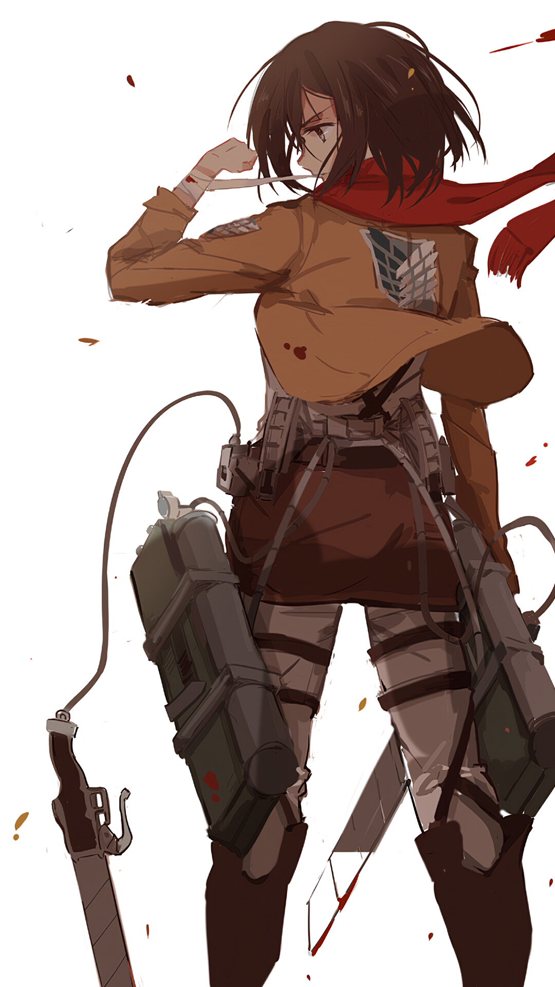 Wallpaper Attack On Titan 129 Shingeki no Kyojin, Mikasa Ackerman, anime girls