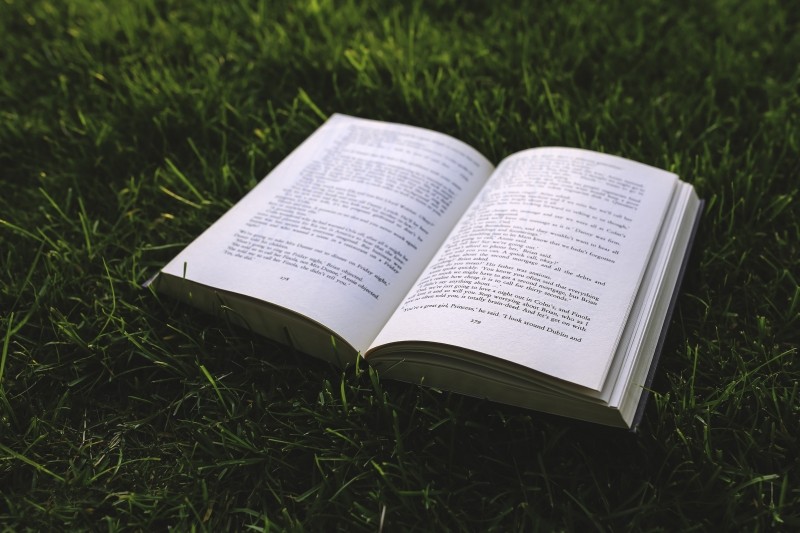 Open book on grass