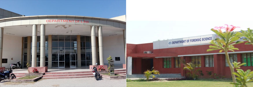 Institute Of Law And Forensic Science Image