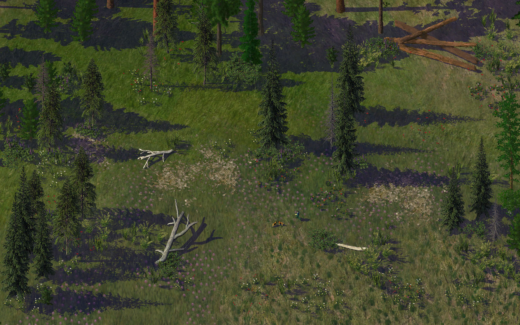 Update%2039%20-%207%20forest%20play.jpg