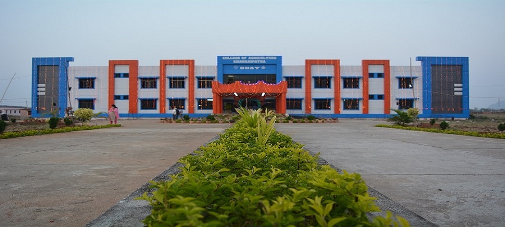 COLLEGE OF AGRICULTURE, BHAWANIPATNA