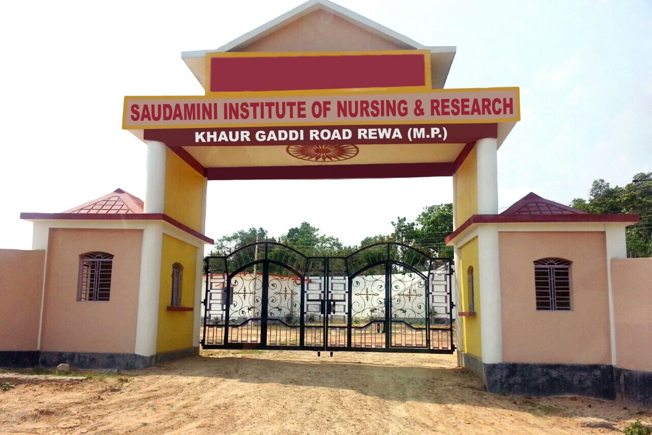 Saudamini Institute Of Nursing and Research Image