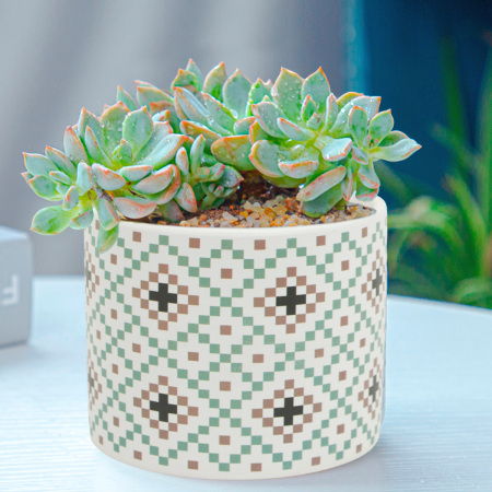 Maceta decorativa 11xØ11.5cm, cerámica